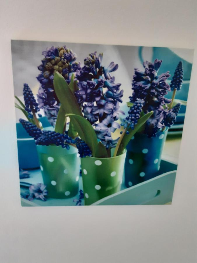 (La Parenthese) Apartment Hombourg Luaran gambar